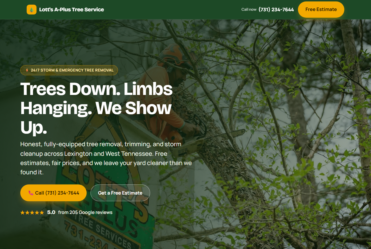 Example MainStreet Found website built for a local plumbing business, showing the homepage with a clear lead form